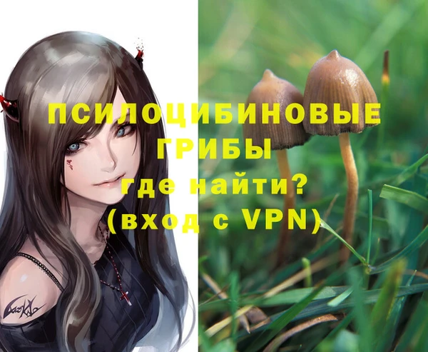 mdma Осинники