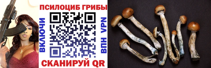 Псилоцибиновые грибы прущие грибы  где купить наркотик  Новосиль 